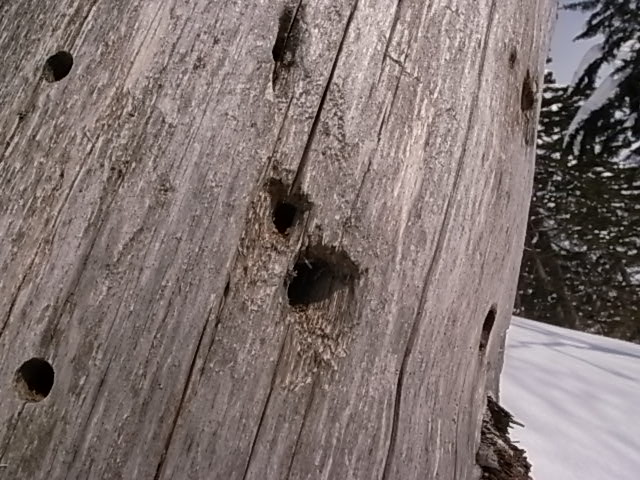 e0173533_23291637.jpg