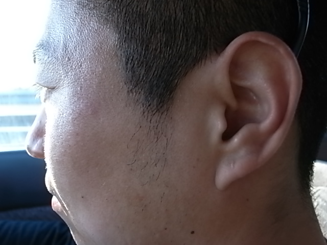 e0173533_2346695.jpg