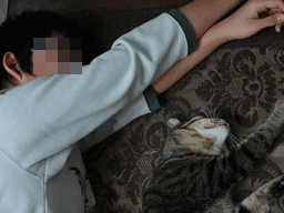 c0136736_18573728.gif