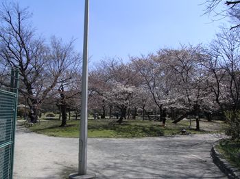 b0056138_11542153.jpg