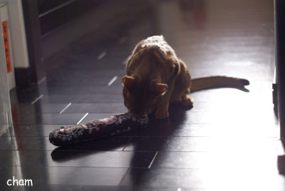c0132438_221269.jpg