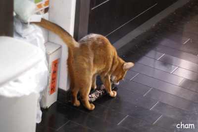 c0132438_2225283.jpg