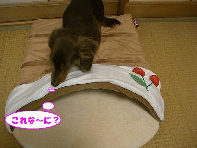 f0186040_23233979.jpg