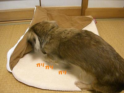f0186040_23363758.jpg