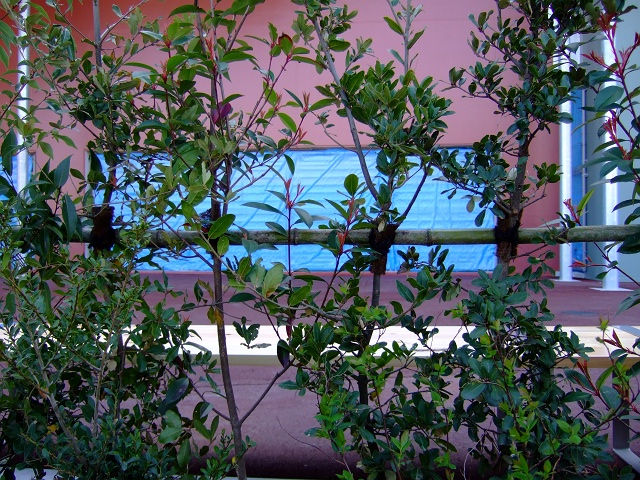 f0029441_1120461.jpg