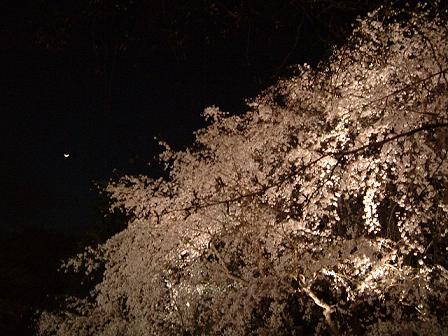 f0158841_18212260.jpg