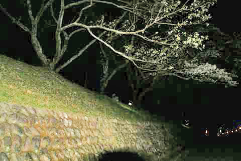 e0143442_11293268.jpg