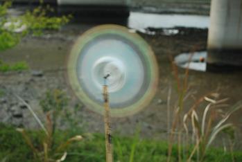 c0107144_2383517.jpg