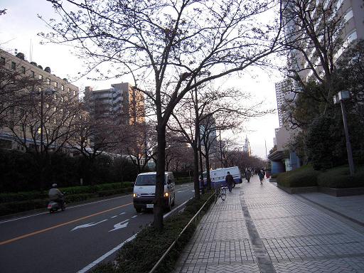 c0156345_21325935.jpg