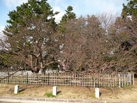 c0057946_20203964.jpg