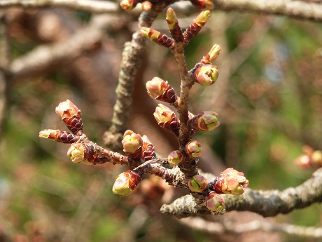 c0057946_2021212.jpg