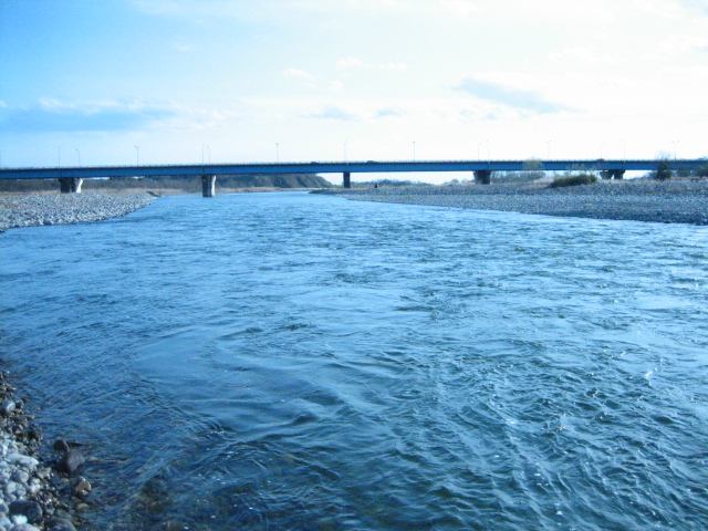 f0168947_08086.jpg