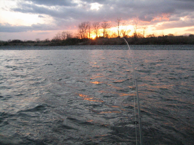 f0168947_092469.jpg