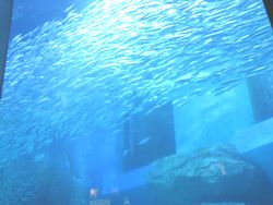 c0156548_0451610.jpg