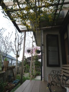 a0008549_0353778.jpg
