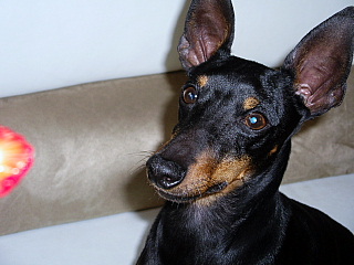 c0123149_14132323.jpg