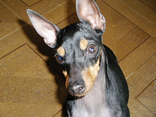 c0123149_14142736.jpg