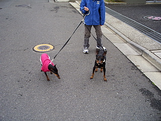 c0123149_1435564.jpg