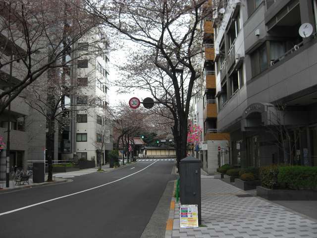 d0138650_0124499.jpg