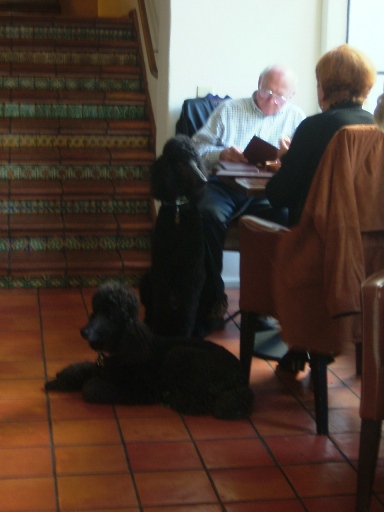 c0078451_1248244.jpg