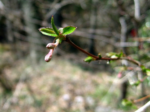 c0179351_20512855.jpg