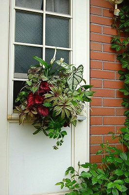 e0025655_613159.jpg