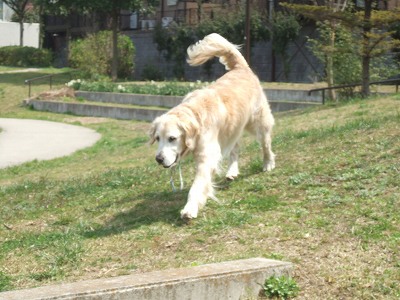 c0097558_0232639.jpg