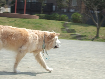 c0097558_0241113.jpg
