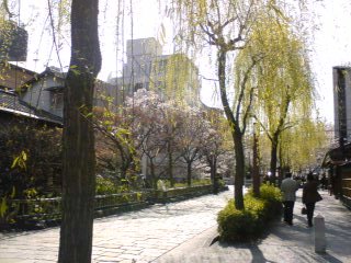 f0082961_16474336.jpg
