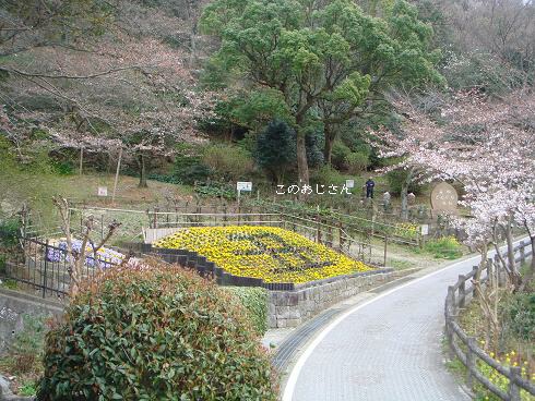 c0148762_943993.jpg