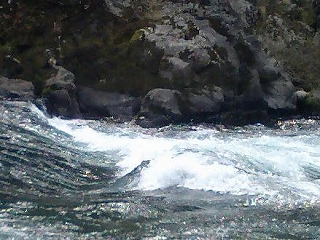 e0066062_23292953.jpg