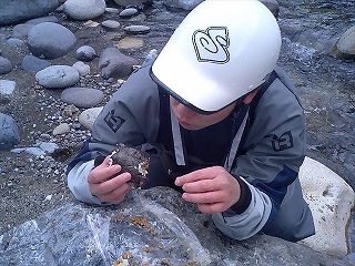 e0066062_23334864.jpg