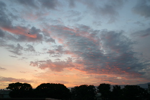 b0079965_4585977.jpg