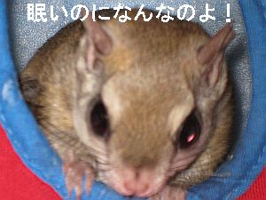 f0196665_0422347.jpg