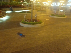 b0092475_20202650.jpg