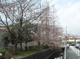 b0092475_2047889.jpg