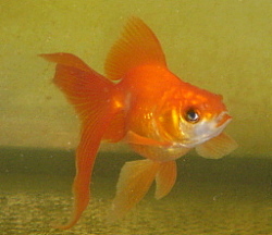 d0095278_23541151.jpg