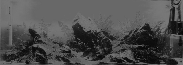 e0112379_03239100.jpg