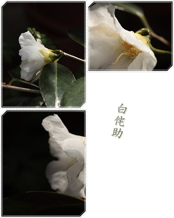 a0079880_19502983.jpg