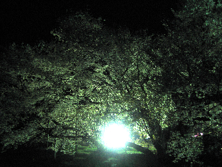 e0132881_0194393.jpg