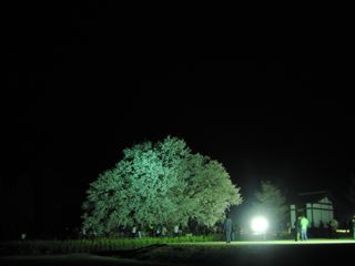 e0132881_0202179.jpg