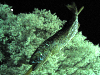 e0132881_0211613.jpg