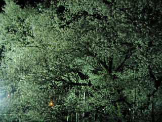e0132881_0212914.jpg