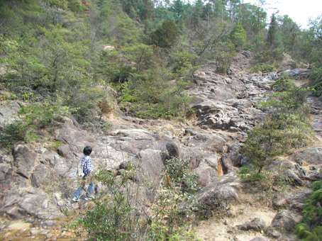 e0083097_0125251.jpg