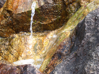 e0083097_0273342.jpg