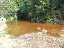 e0083097_0421171.jpg