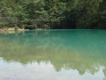 e0083097_0452959.jpg