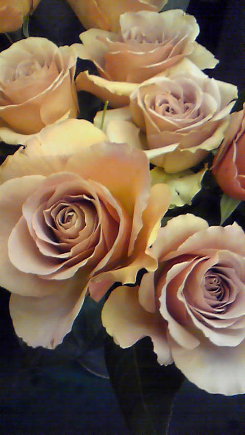 e0156298_23352065.jpg