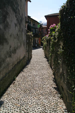 f0165698_0474540.jpg