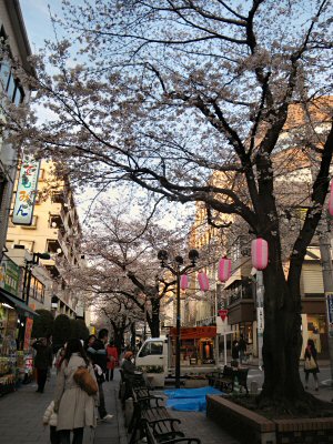 c0050400_206628.jpg